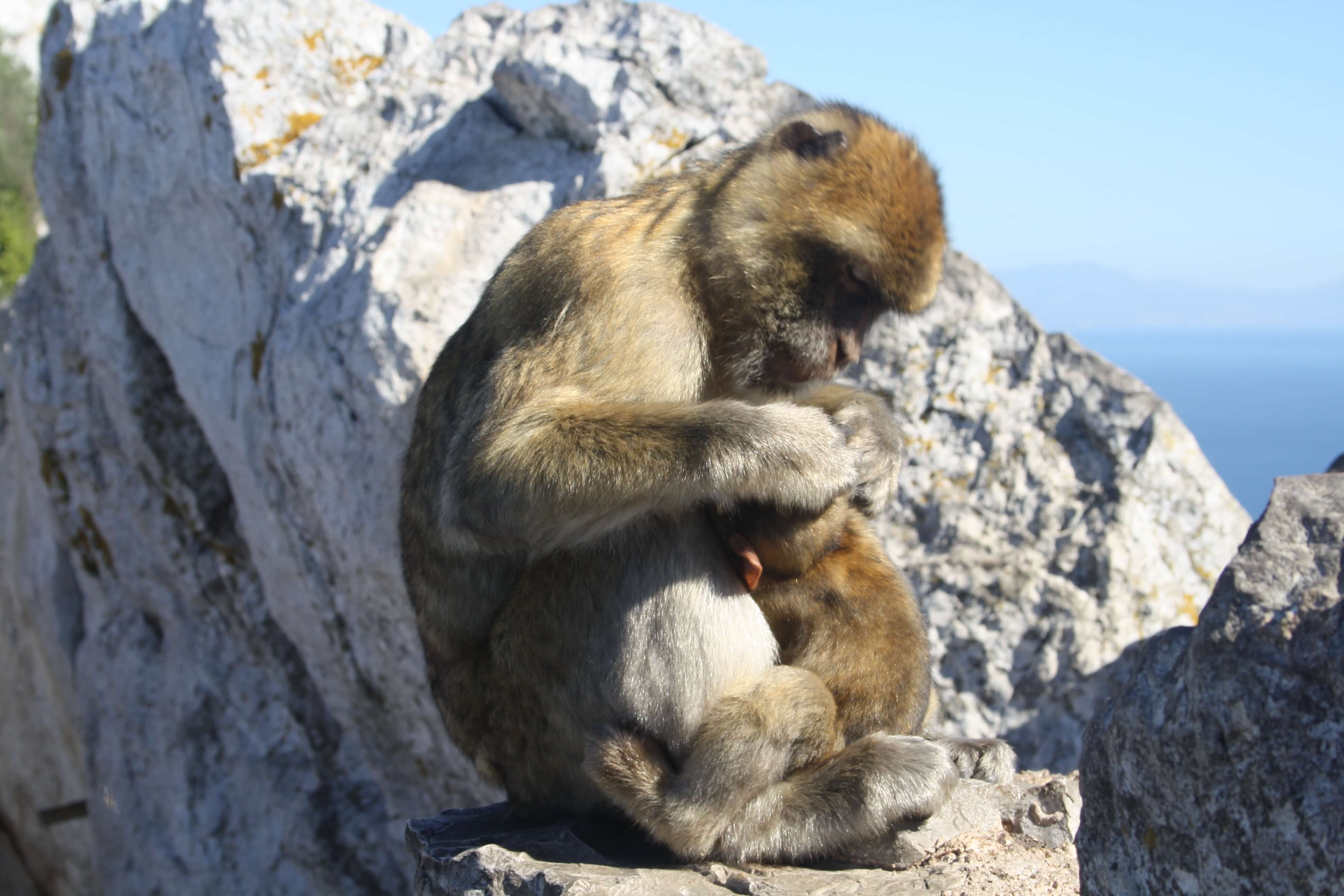 Reisebild Spanien 11